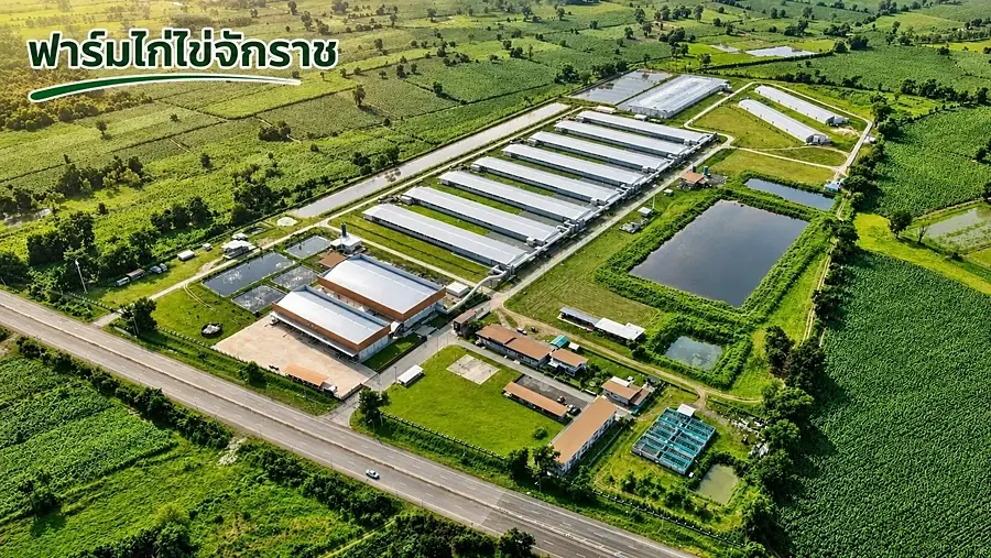 ธุรกิจไก่ไข่ CPF คว้า 5 รางวัล Thailand Kaizen Award 2026 