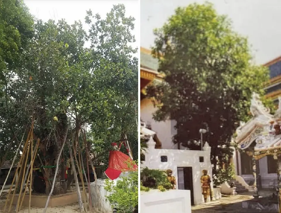 เส้นทางชุธาตุเมืองรอง 2 กำแพงเพชร-ตาก-เถินบุรี