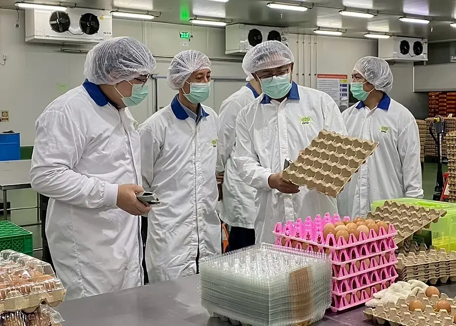 ธุรกิจไก่ไข่ CPF คว้า 5 รางวัล Thailand Kaizen Award 2026 