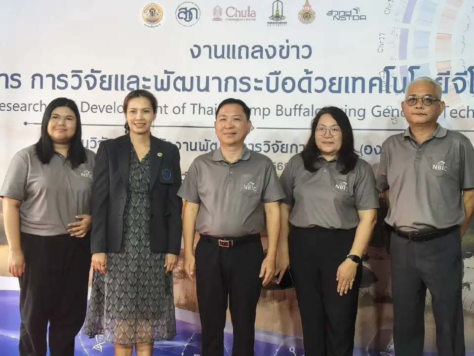 ‘กระบือไทย’ เข้าสู่ยุคจีโนม ปศุสัตว์สร้างฐานพันธุกรรมชาติ ดันคัดพันธุ์แม่นยำ
