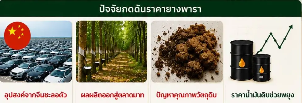 ปัจจัยกดดันราคายางพารา