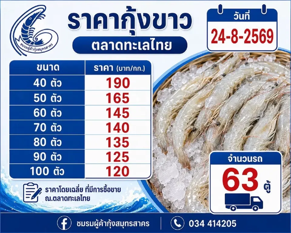 ราคากุ้งขาว ณ วันที่ 24 สิงหาคม 2569 ตลาดทะเลไทย