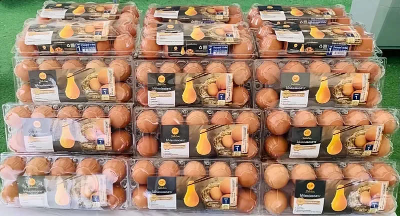 ธุรกิจไก่ไข่ CPF คว้า 5 รางวัล Thailand Kaizen Award 2026 