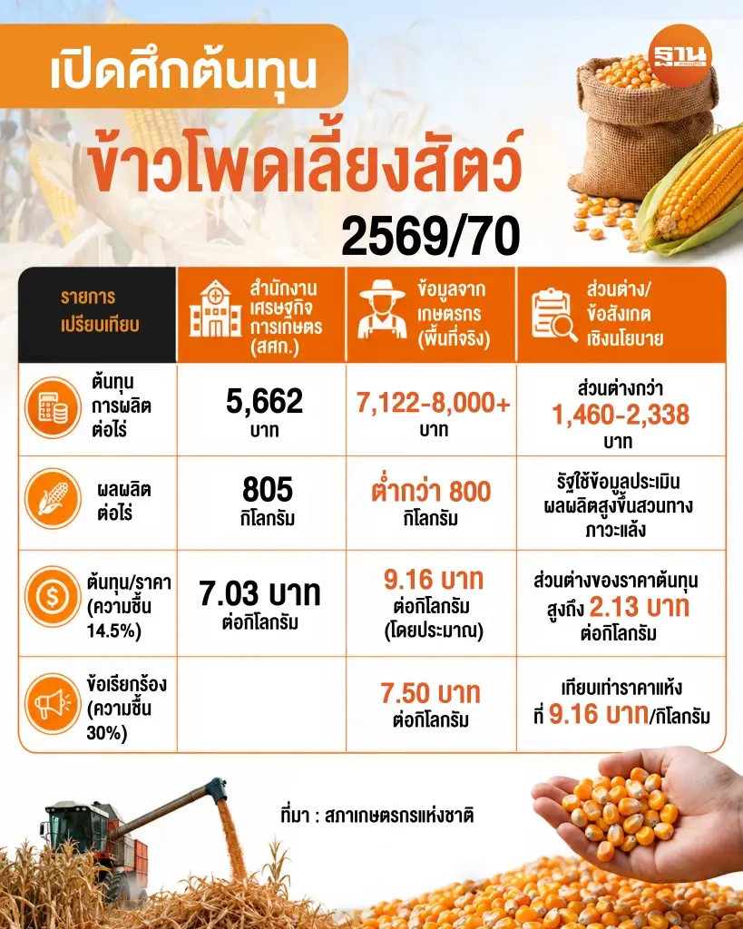 เปิดศึกต้นทุนข้าวโพดเลี้ยงสัตว์