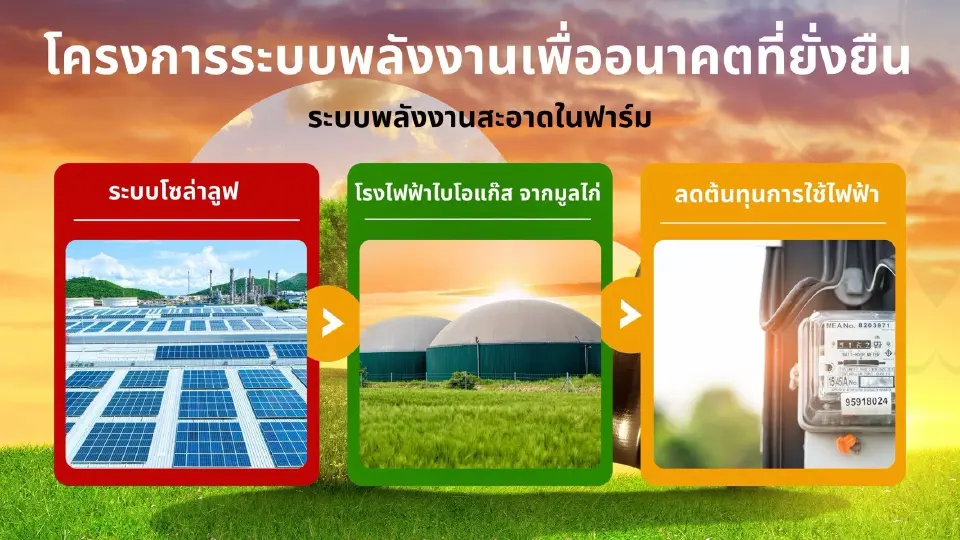 วาระร้อน Egg Board จ่อไฟเขียว “รายใหม่” นำเข้าพ่อแม่พันธุ์ไก่ไข่ Cage-Free รายแรกไทย