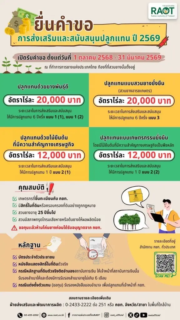 ชาวสวนยื่นคำขอโครงการโค่นยางปลูกแทน  สูงสุด อัตราไร่ละ 2 หมื่นบาท