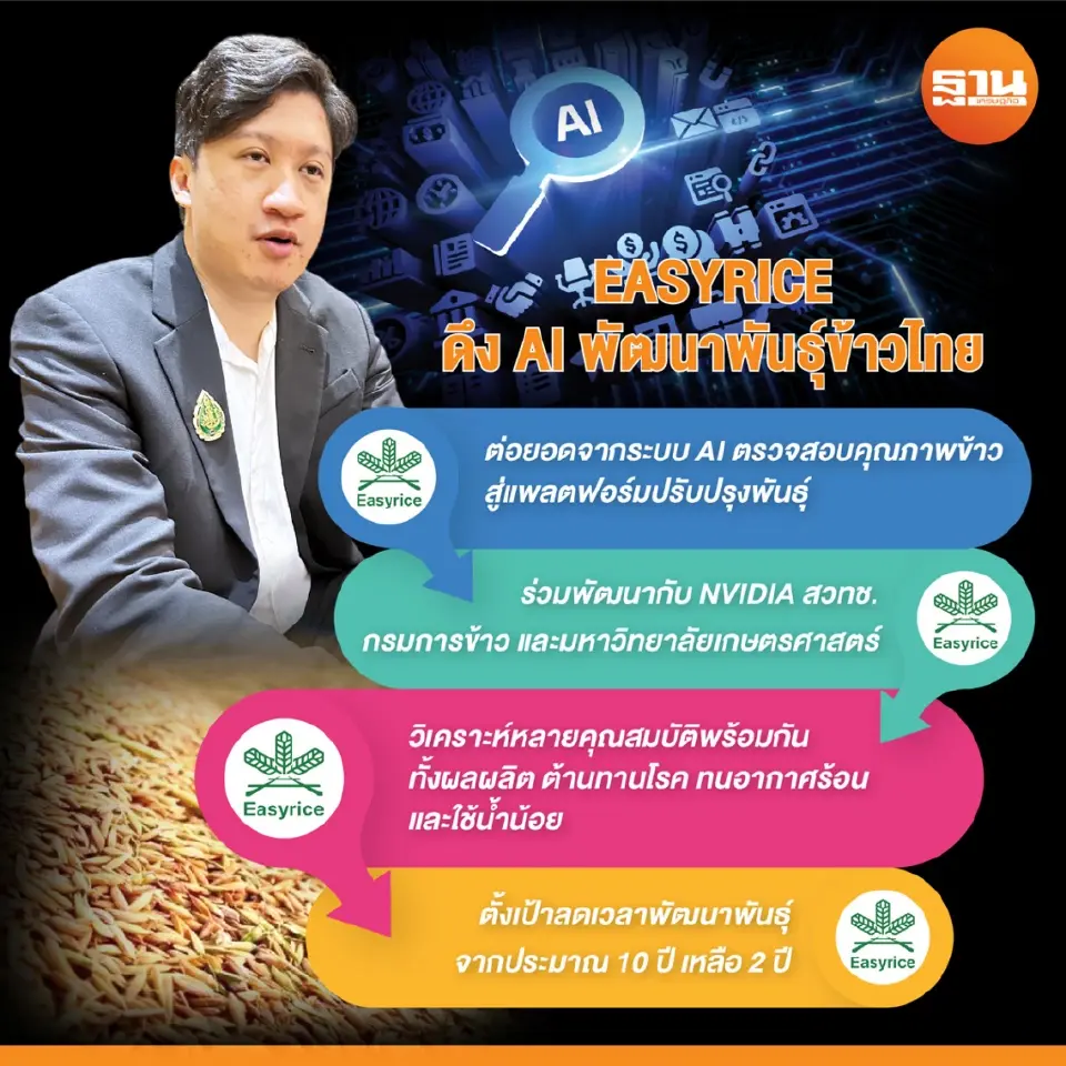 EASYRICE ดึง AI พัฒนาพันธุ์ข้าวใหม่ ตั้งเป้าผลผลิต 1.5 ตันต่อไร่