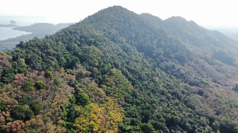 TOA ผนึกมูลนิธิแม่ฟ้าหลวงฯ ฟื้นป่า 6,000 ไร่ มุ่งสู่เป้า Net Zero