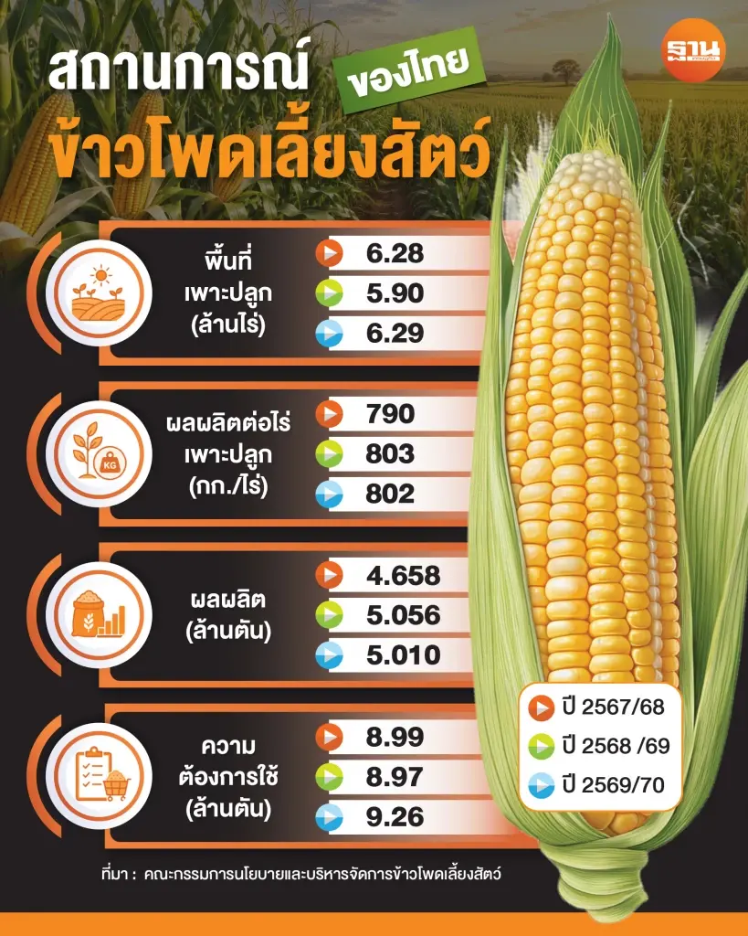 ศึกข้าวโพดเดือด  สภาเกษตรกรฯ ยืนราคา 7.50 บาท ค้านนำเข้าสหรัฐฯ