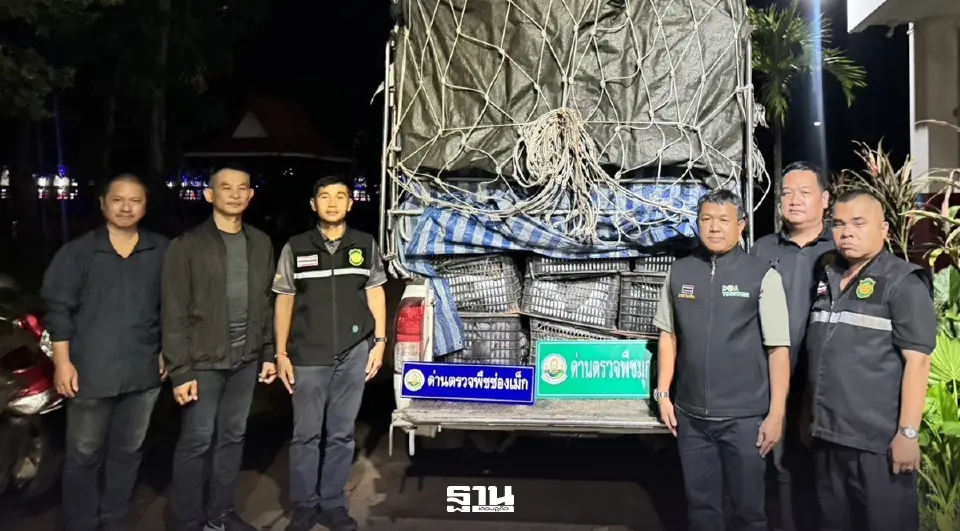 ศพร.ผนึกกรมวิชาการเกษตร ลุยสกัด ‘อะโวคาโดเถื่อน’ 2.24 ตัน