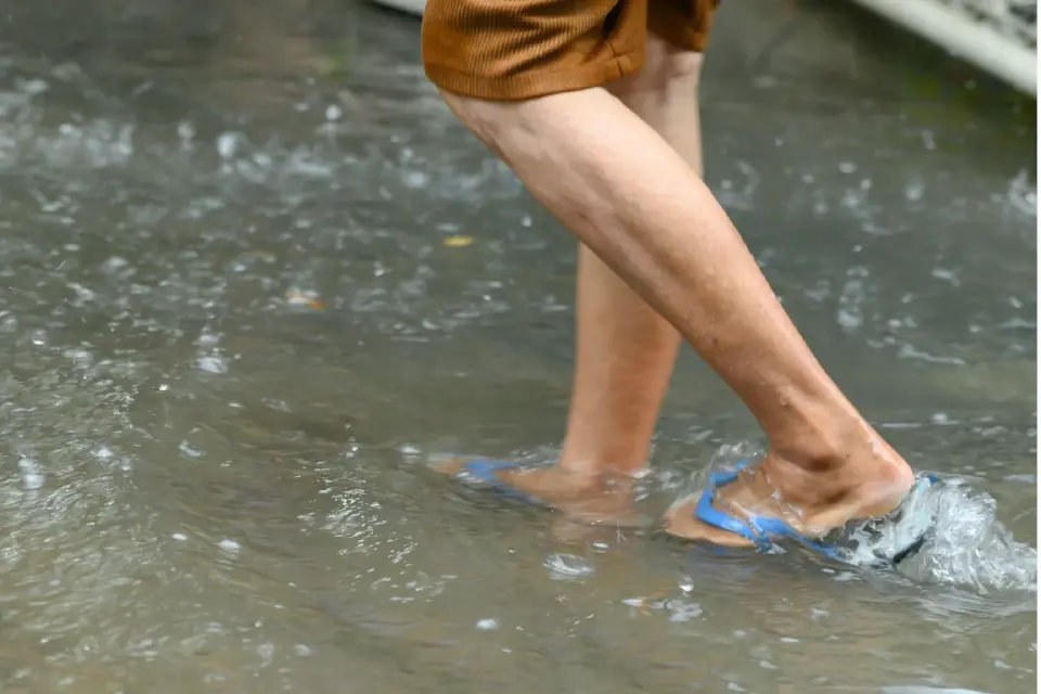 เดินลุยน้ำ ต้องระวังโรคเลปโตสไปโรสิส หรือ ไข้ฉี่หนู