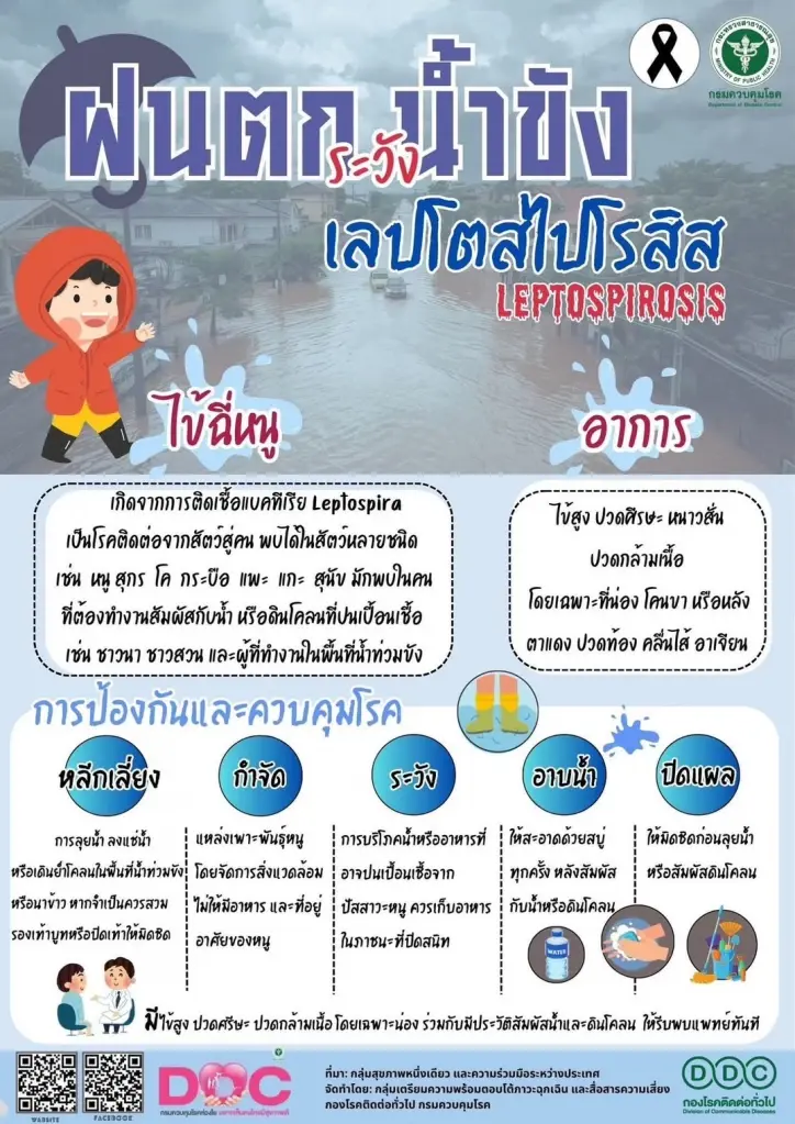 เปิดวิธีสังเกต 5 อาการเตือน 'โรคไข้ฉี่หนู' ภัยร้ายหน้าฝน-น้ำท่วมขัง