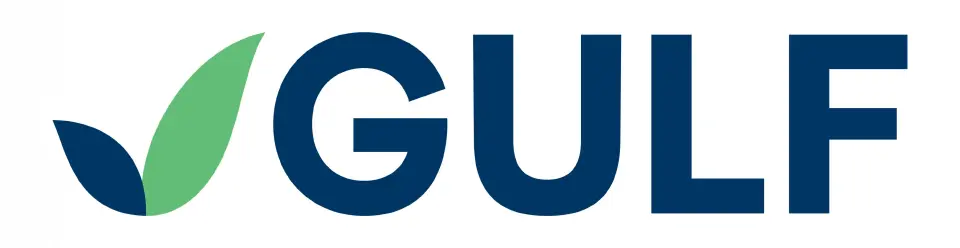 GULF-Singtel ลงทุนเคเบิลใต้น้ำ เชื่อม 3 ประเทศรับ Data Center ชิงฮับ AI อาเซียน 