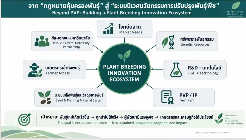 จับตารื้อ พ.ร.บ.พันธุ์พืช 2542 เปิดศึกความเห็น ใครได้–ใครเสีย?