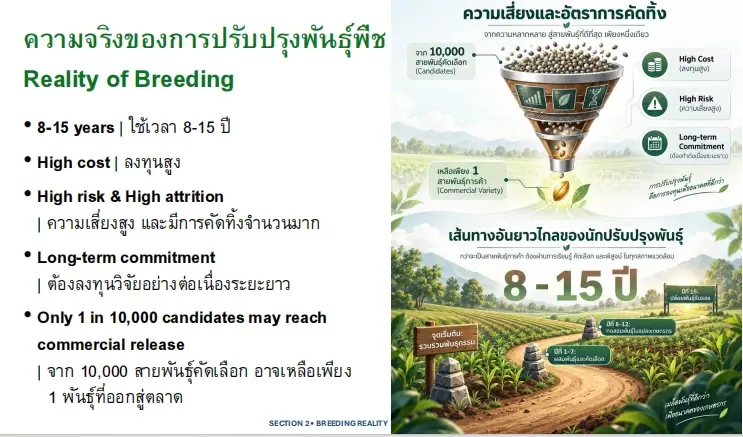 เปิดความจริงระยะเวลาการปรับปรุงพันธุ์พืช