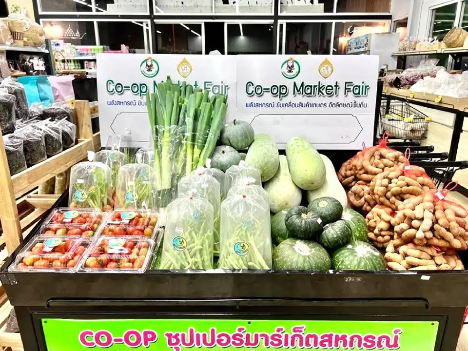 กรมส่งเสริมสหกรณ์ ยกเครื่องศูนย์กระจายสินค้า 125 แห่ง ดึง 10 ล้านสมาชิกเป็นลูกค้า ขยายตลาดทั่วไทย