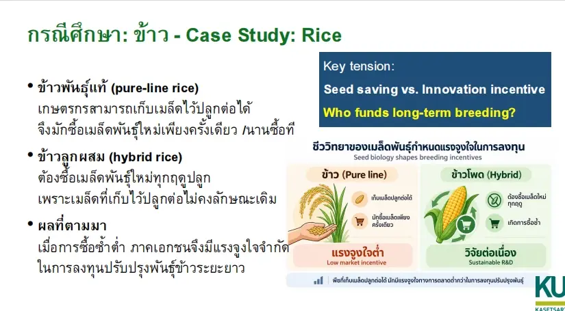 จับตารื้อ พ.ร.บ.พันธุ์พืช 2542 เปิดศึกความเห็น ใครได้–ใครเสีย?