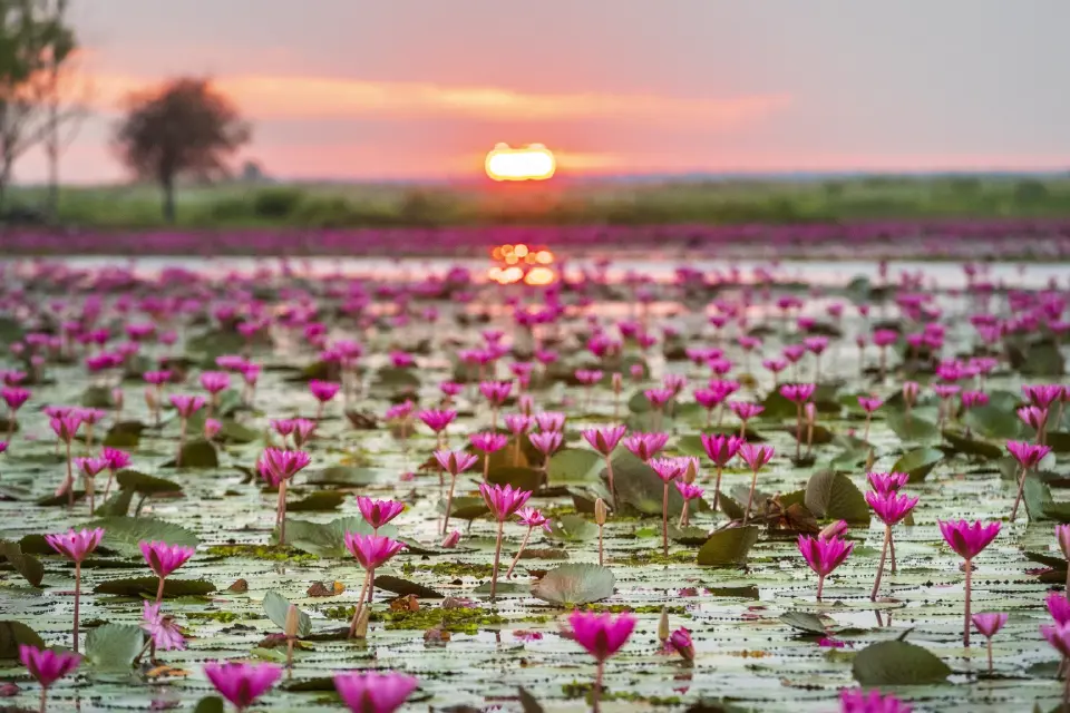 ททท. ฉลองความสำเร็จ Amazing Thailand Ambassador สร้างการรับรู้ทะลุ 448 ล้านครั้ง