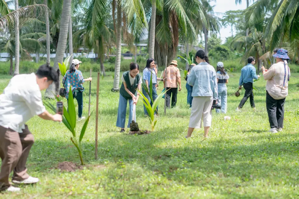 "ดงมะพร้าว" ผืนสุดท้ายภาคตะวันออก พลิกสู่แหล่งเที่ยวใหม่ใกล้พัทยา