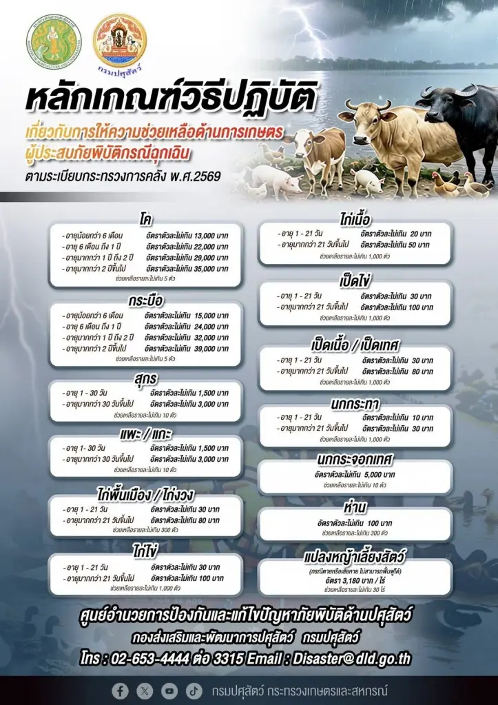 เปิดเกณฑ์เยียวยาปศุสัตว์ปี 2569