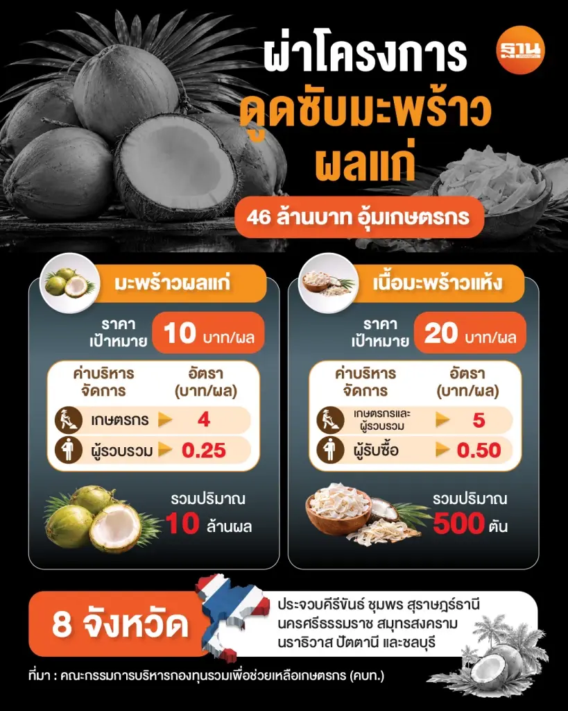 ผ่าโครงการดูดซับมะพร้าวผลแก่ ปี 2569