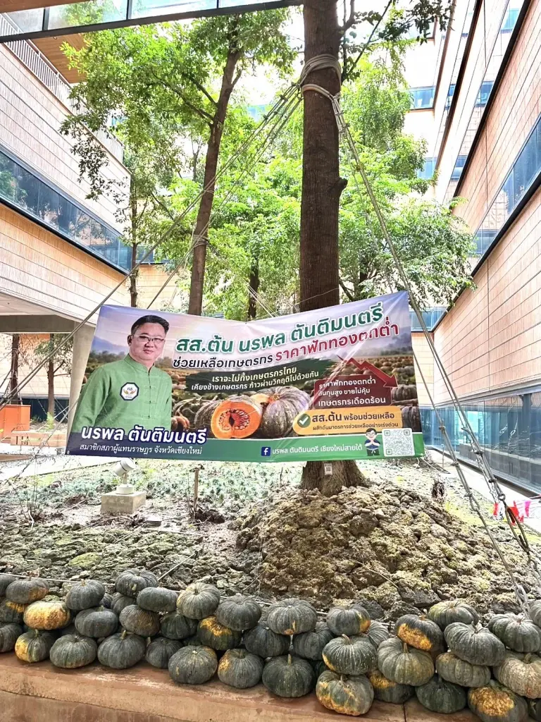 'สส.ต้น' รับซื้อฟักทอง 2 ตัน เร่งช่วยเกษตรกรเชียงใหม่ แก้ราคาตกต่ำ