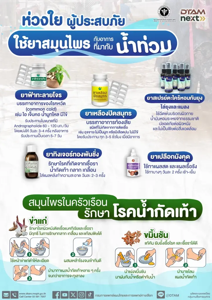 กรมการแพทย์แผนไทยฯ แนะใช้ "6 ยาสมุนไพรไทย" ดูแลสุขภาพประชาชนช่วงน้ำท่วม 