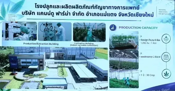มช.จับมือภาคเอกชน เปิดตัว LEPSIA ยากันชักเด็ก