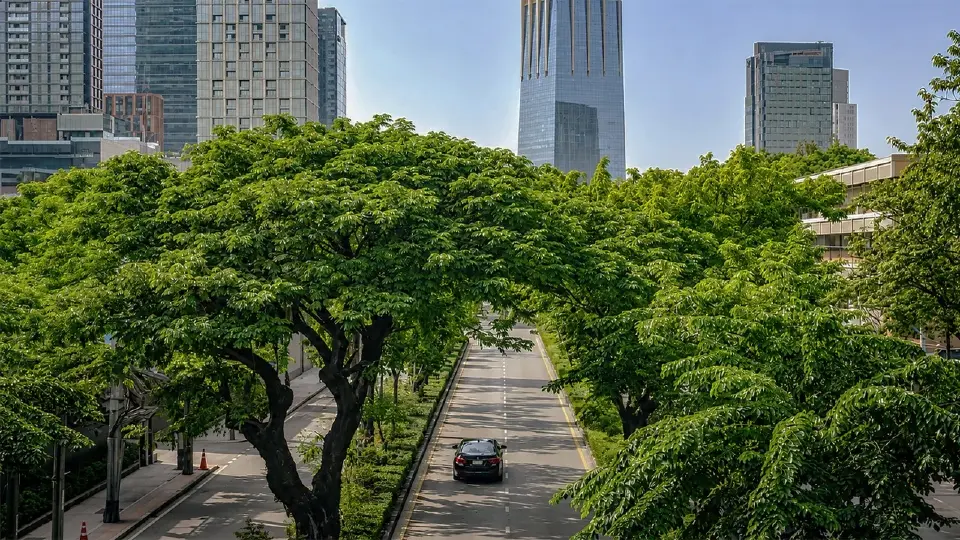 เจาะศักยภาพถนนวิทยุ