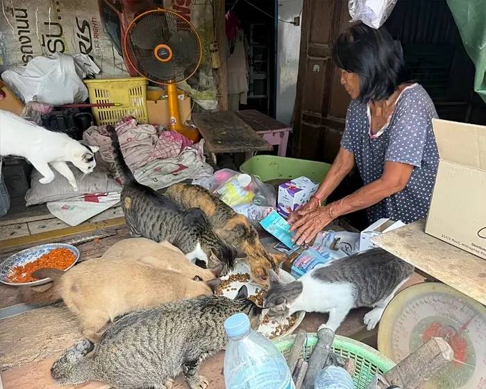 ซีพี-ซีพีเอฟมอบอาหารถึงมือประชาชน-สัตว์เลี้ยงประสบภัยน้ำท่วม