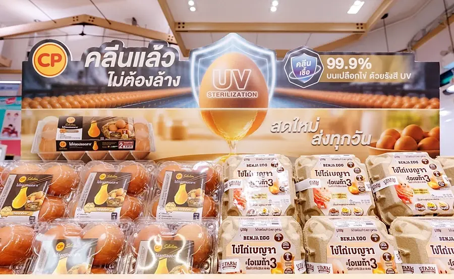 เติมโปรตีนง่ายๆ ซีพีเอฟฉลองวันไข่โลก 2569 แจกคูปองไข่ต้ม 1 แถม 1 ที่ 7-Eleven