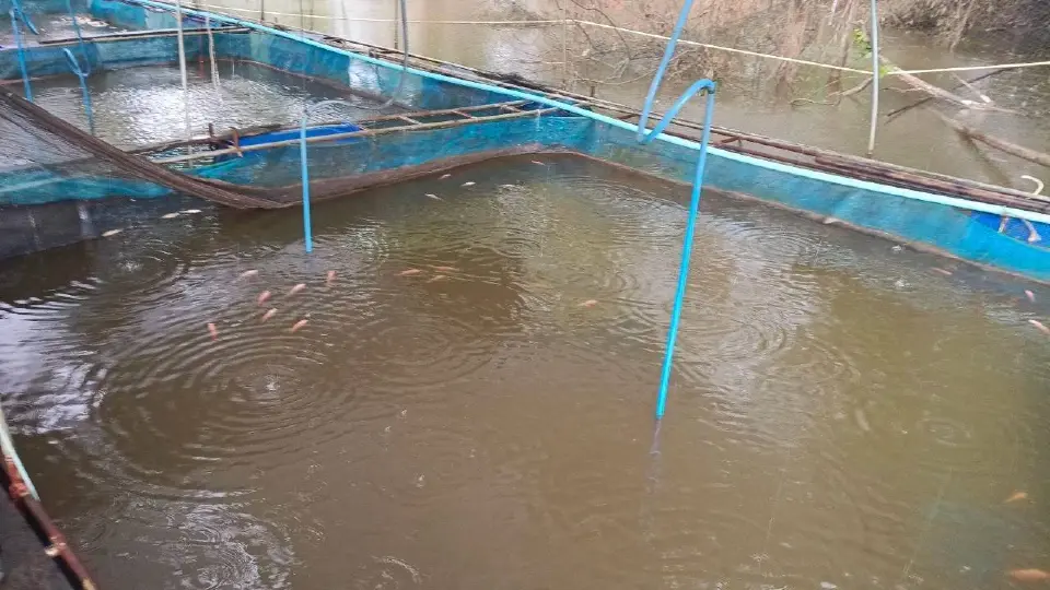 ผลตรวจคุณภาพน้ำที่จังหวัดปราจีน