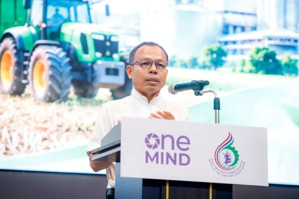 ชาวไร่อ้อยลุ้นเงินช่วย 7,081 ล้าน รัฐจ่อหนุนตัดอ้อยสด 69 บาทต่อตัน 