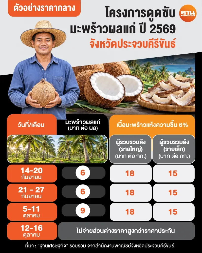 ตัวอย่างราคากลาง โครงการดูดซับมะพร้าวผลแก่ จังหวัดประจวบคีรีขันธ์