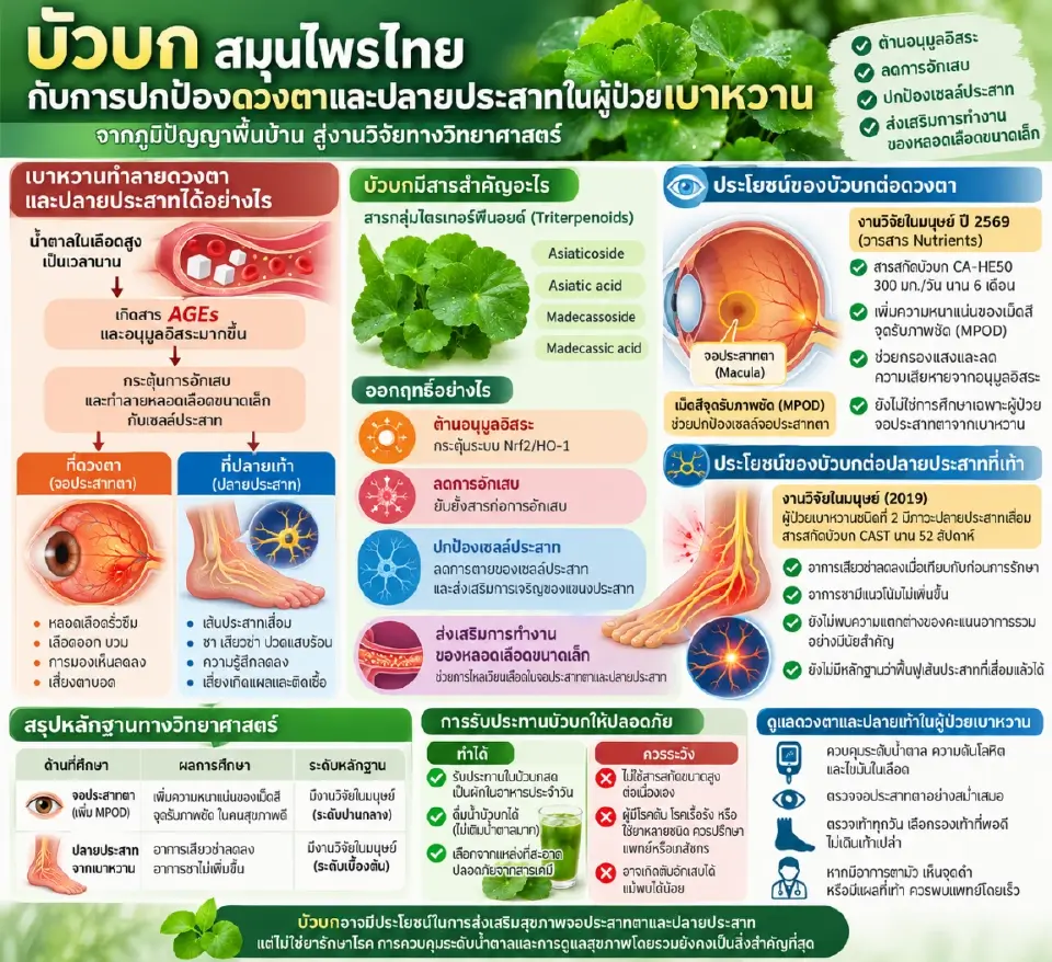 “อภัยภูเบศร”ยกทัพเข้ากรุงชวนรู้ความเสี่ยง-ดูแลก่อนป่วย 23-25 ต.ค.นี้
