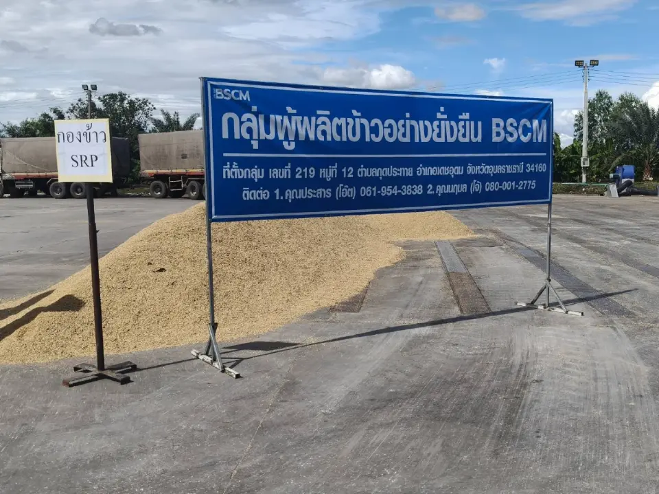 แยกกองข้าวยั่งยืน