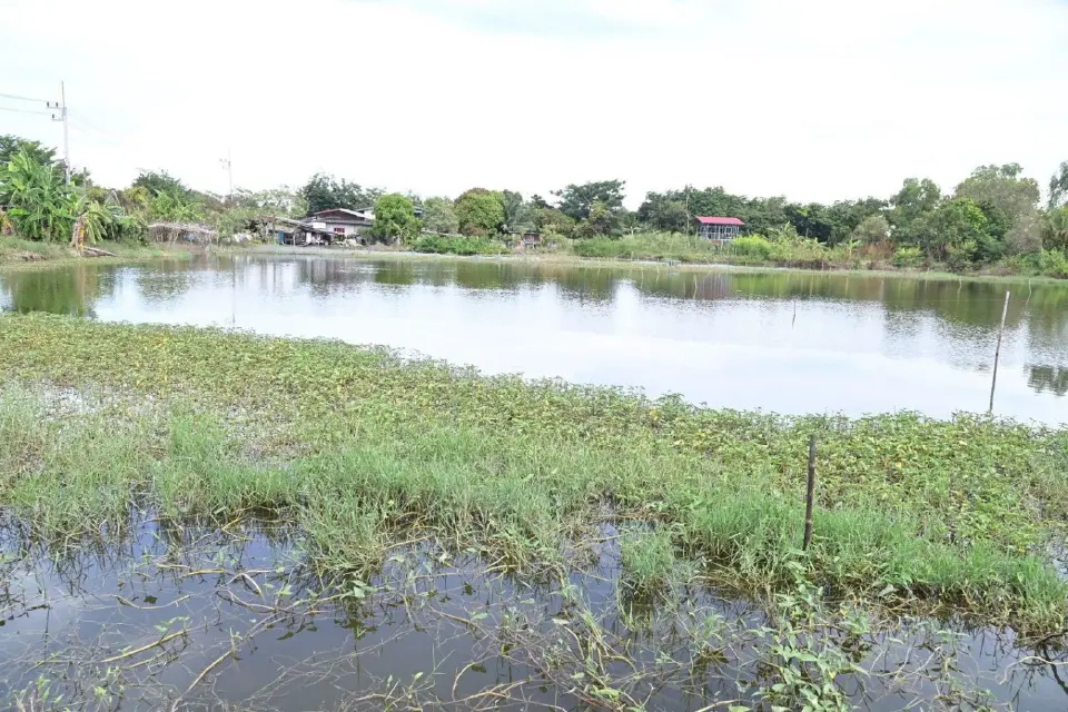 น้ำท่วมปราจีนฯ กระทบประมง 4,471 ราย กระทรวงเกษตรฯ เร่งเยียวยา–ฟื้นอาชีพ