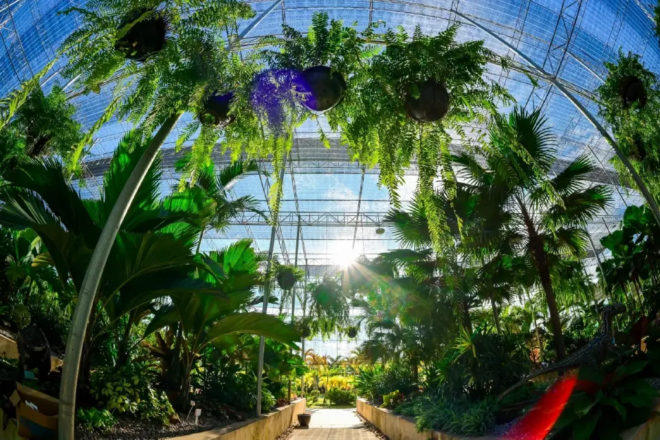 "อาคารเรือนกระจก" (Glasshouse) สถาปัตยกรรมหลังคากระจกโปร่งที่ได้รับแรงบันดาลใจจาก “เฮือนแฝด” ของอีสาน
