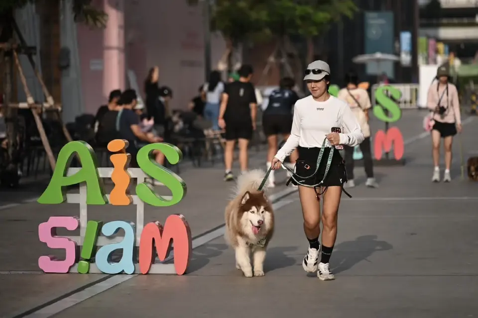 AIS เปิดตัว SMART Pets Phone ยกระดับสู่ “สมาร์ทโฟนประจำตัว” สัตว์เลี้ยง
