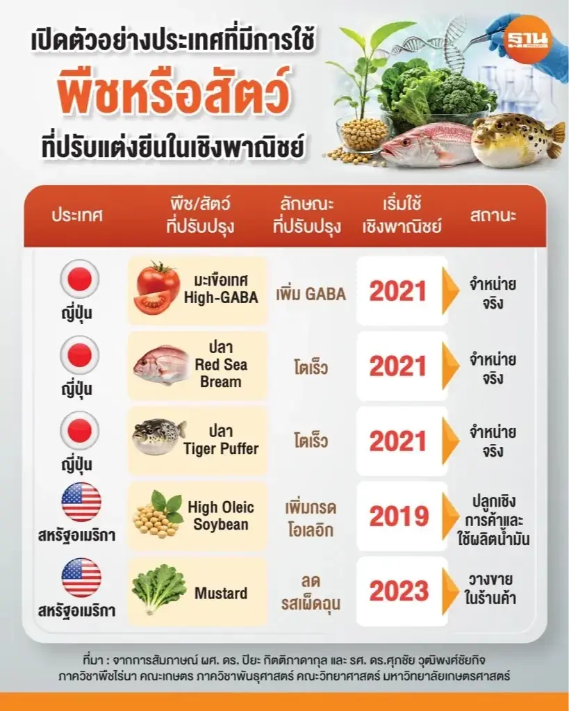 เปิดตัวอย่างประเทศที่มีการใช้พืชหรือสัตว์ ที่ปรับแต่งยีนในเชิงพาณิชย์