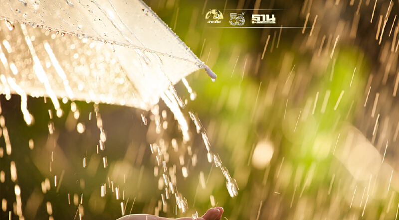 สภาพอากาศวันนี้ ไทยตอนบนมีฝนเพิ่มขึ้น กทม.ฝนฟ้าคะนองร้อยละ 40 ของพื้นที่