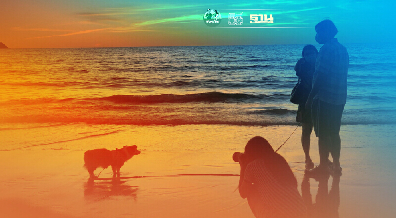 ฉลองภูเก็ตแซนด์บ็อกซ์จุดพลุประเดิมColourful Phuketวาดสีสันหาดป่าตอง