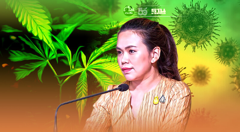 รองโฆษกฯ ส่งเสริมกัญชา รักษาโควิด-สร้างรายได้ประชาชน