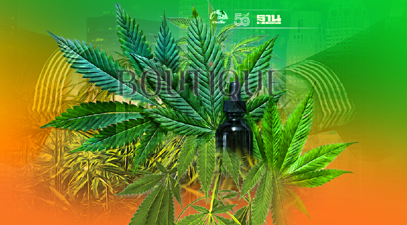 BC ผนึกกำลัง 2 มหาลัยดังเซ็น MOU ผลิต แปรรูปกัญชง กัญชา ลงตลาดต้นปีหน้า