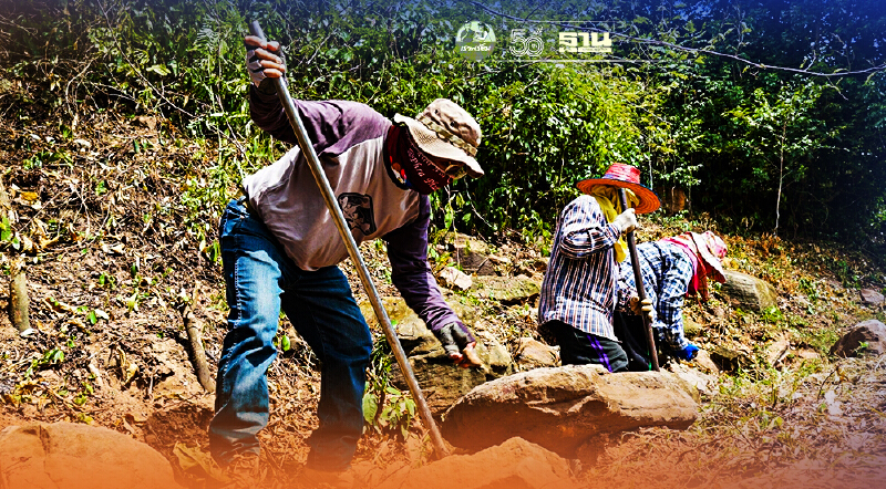 ซีพีเอฟ ผสาน โครงการฟื้นฟูป่าต้นน้ำ เขาพระยาเดินธง จ้างงานชุมชน สร้างอาชีพ