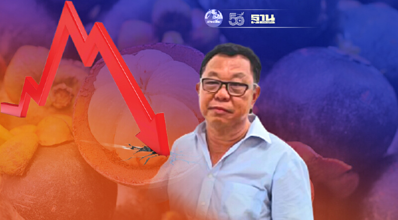 สมาคมผู้ค้าและส่งออกผลไม้ไทย เตือน” มังคุด” ท่วมตลาดฉุดราคาดิ่งเหว  25 ส.ค.