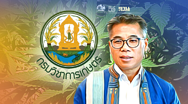 เปิดหลักเกณฑ์ใบอนุญาตขายเมล็ดพันธุ์ “กัญชา-กัญชง” ทุกขั้นตอน คลิกเดียว