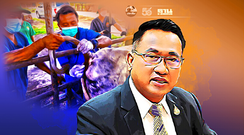 กรมปศุสัตว์ เปิดแผน จัดสรรวัคซีน “ลัมปี สกิน 5 ล้านโดส” ทั่วถึง เป็นธรรม