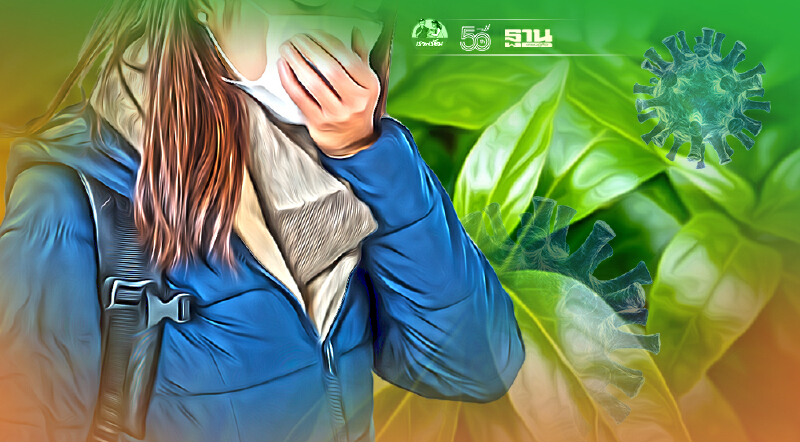 มติครม.ไฟเขียวใช้ยาฟ้าทะลายโจรรักษาผู้ป่วยโควิดที่ไม่มีอาการ