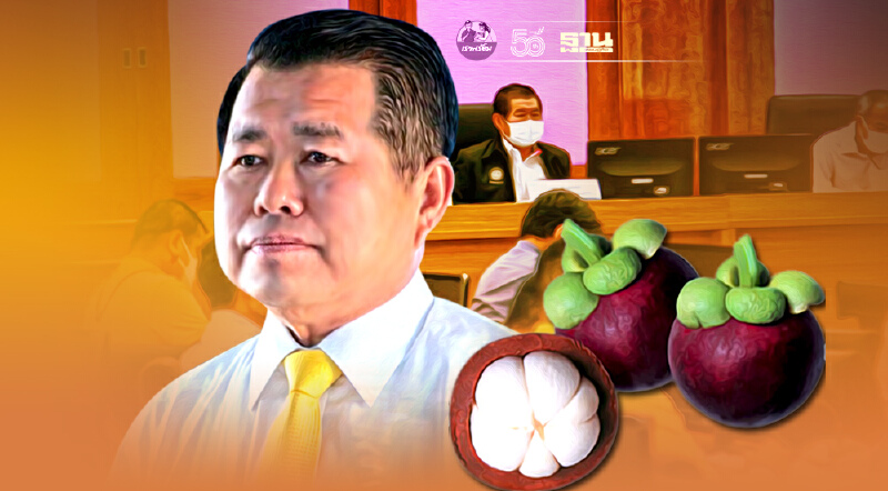 “นิพนธ์”สั่งใช้กลไกลมหาดไทยช่วยชาวสวนแก้ราคามังคุดภาคใต้ตกต่ำ 